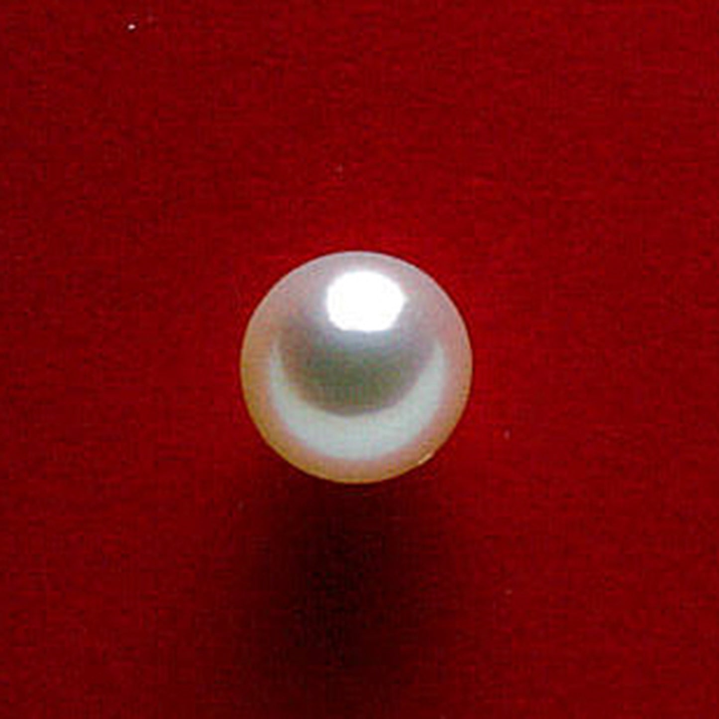 【特別価格】希少な大珠【花珠アコヤ真珠10.8mm】ルース(片穴) 非常に強い照りでピンク系のキレイな珠 真珠総合研究所の花珠鑑別鑑定書付