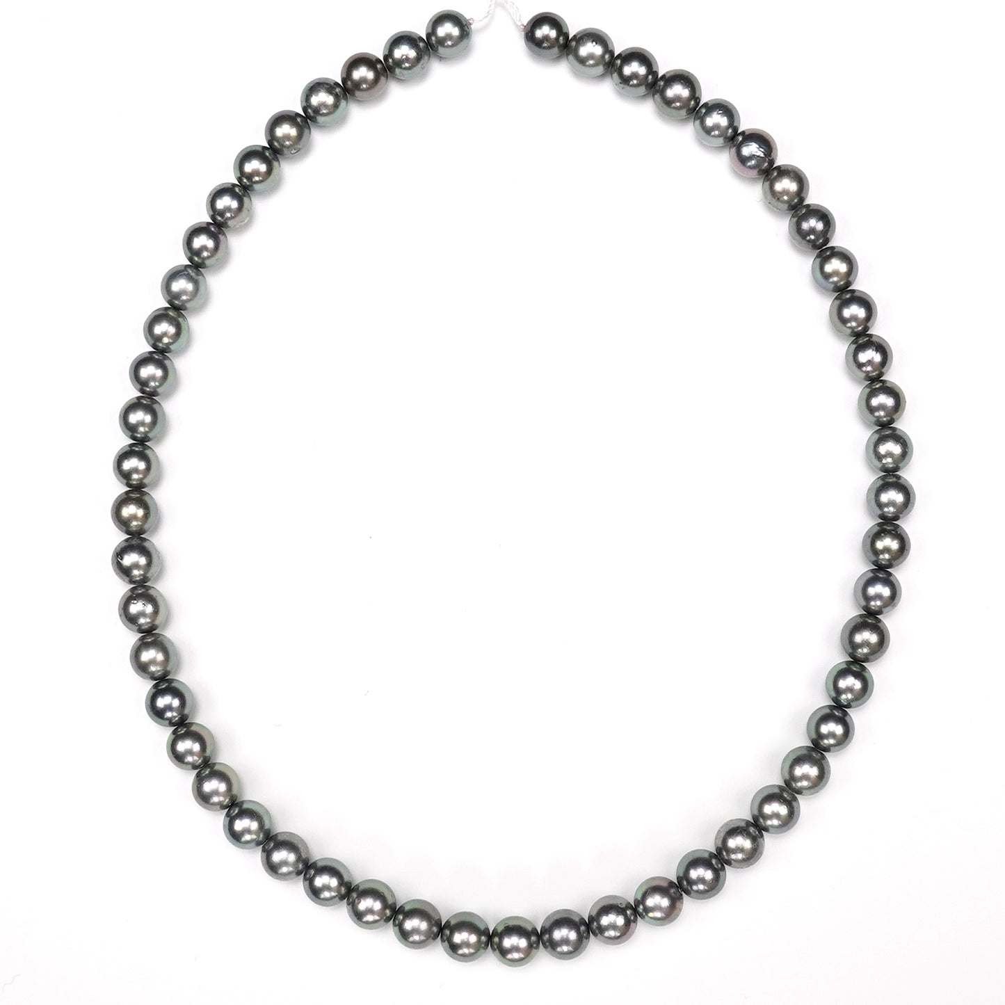 パールネックレス7.5~8.0mm(アコヤ真珠黒染め) PN75KS-OK21022602