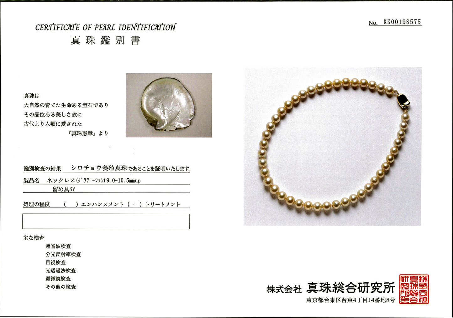 白蝶ゴールデンパールネックレス 大きすぎず使いやすいサイズ 真珠総合研究所の鑑別書付 N-SCG-SB0811