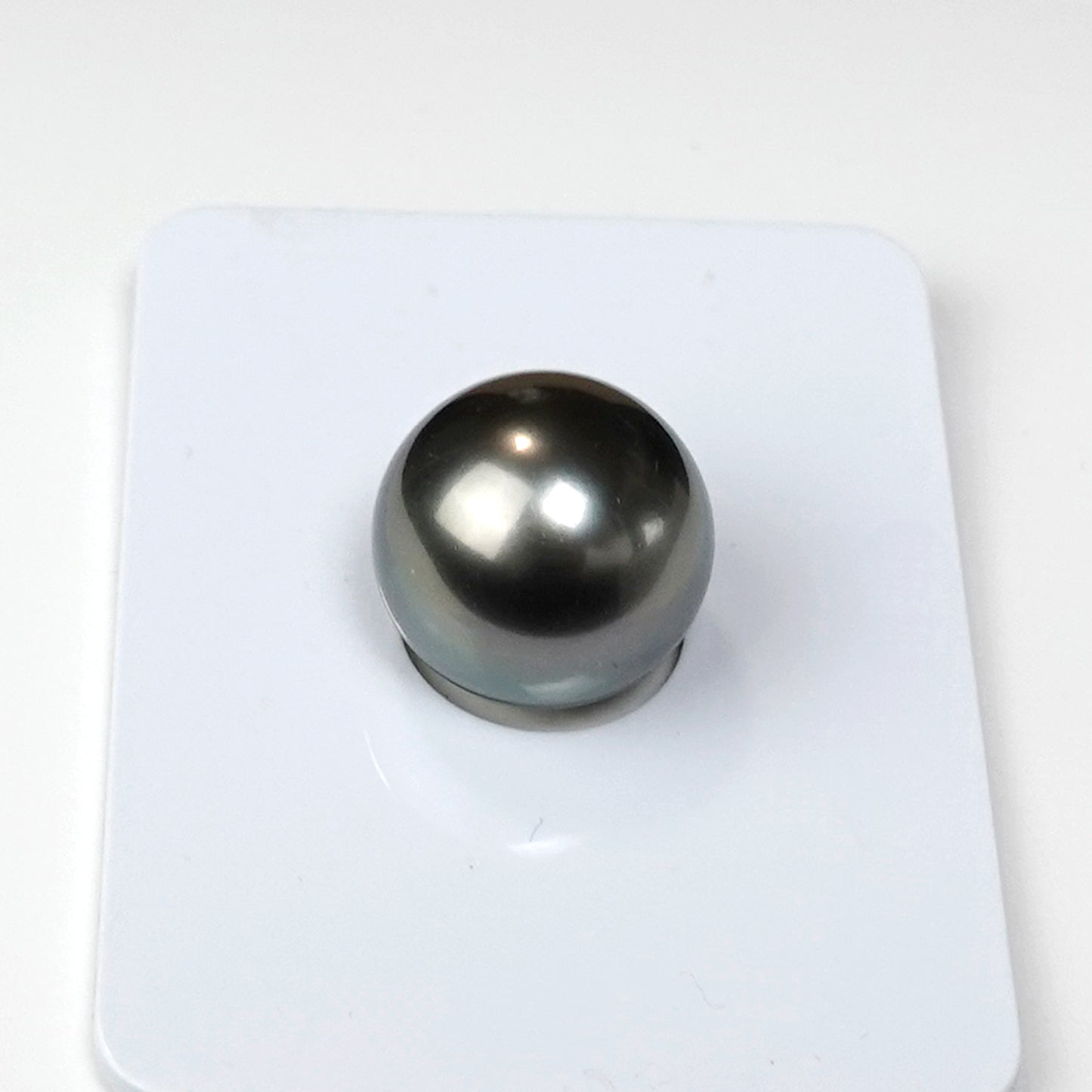 【特別価格】黒蝶真珠花珠ルース【BlackLip花珠ルース11.6mm】片穴 【真珠総合研究所・黒蝶真珠鑑別書付】