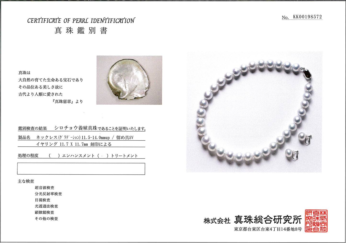 【パールフェア特別価格】白蝶真珠ネックレス・イヤリングセット ボリューム感があり、ブルー系で色照りがキレイな真珠