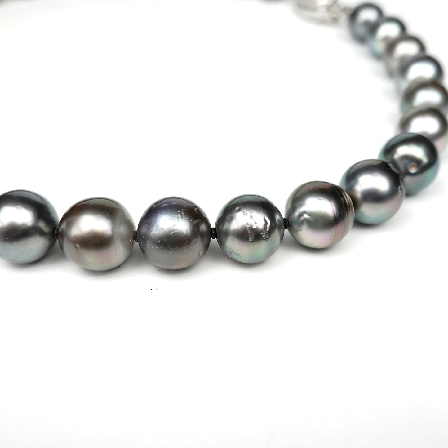 お手頃価格の黒蝶真珠ネックレス ラウンド~セミラウンド系、KC-N-10.0〜12.5mm-SE001024