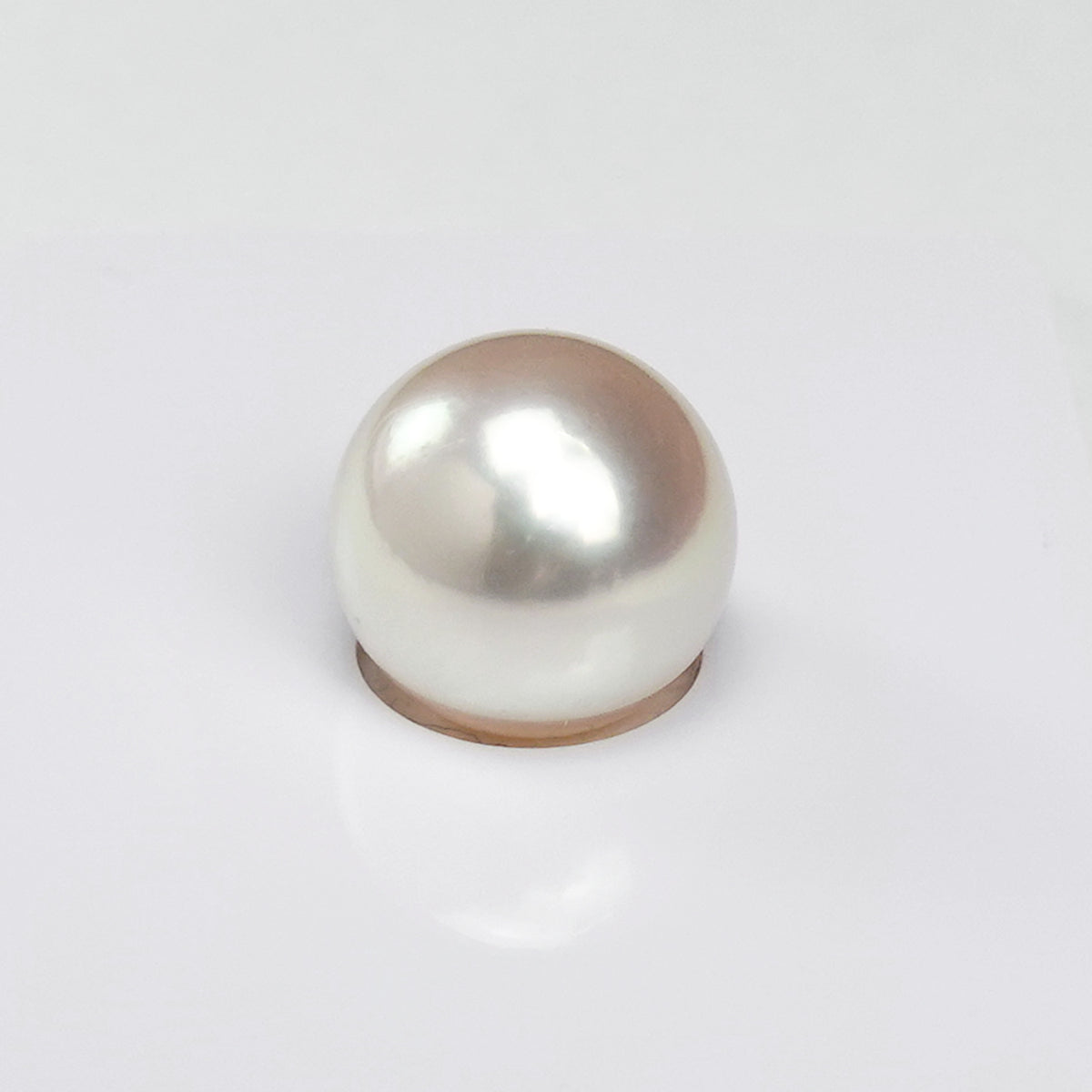 【特別価格】希少な美しい白蝶真珠オーロラヴィーナスルース（無穴）11.6mm 真珠科学研究所/真珠鑑別鑑定書付 SSLo-OV11.6-S-XXX452