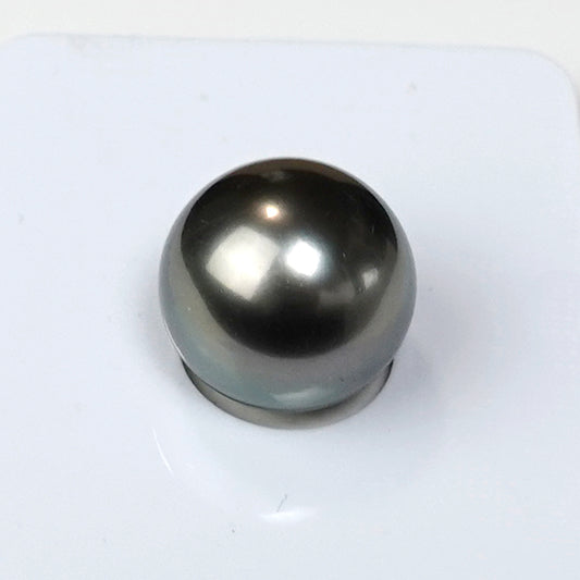 【特別価格】黒蝶真珠花珠ルース【BlackLip花珠ルース11.6mm】片穴 【真珠総合研究所・黒蝶真珠鑑別書付】